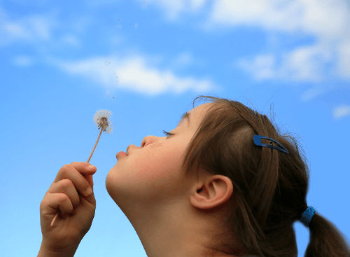 Child blowing on a flower